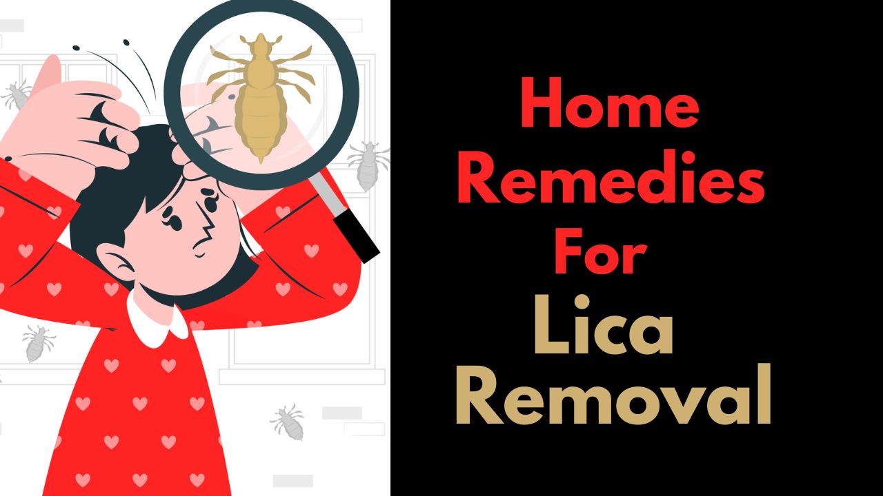 Effective Home Remedies for Lica Removal